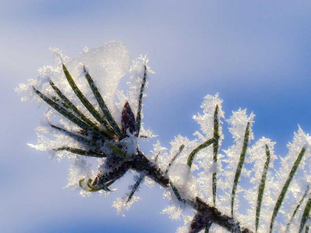 Je warmhouden doe je zo