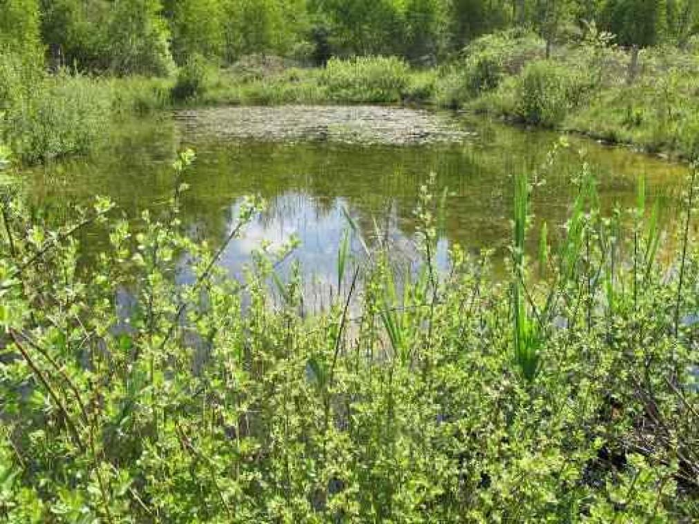 "Te veel vergunningen voor economische activiteiten met negatieve impact op natuur"