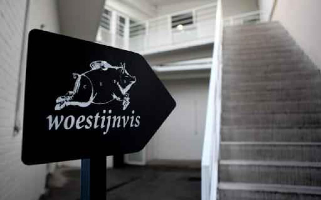 Grondwettelijk Hof verwerpt beroep Woestijnvis tegen nieuwe taxshelter-regeling