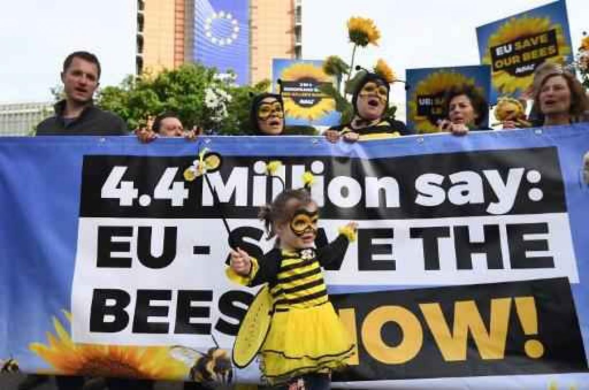 Europees verbod op drie schadelijke pesticiden voor bijen