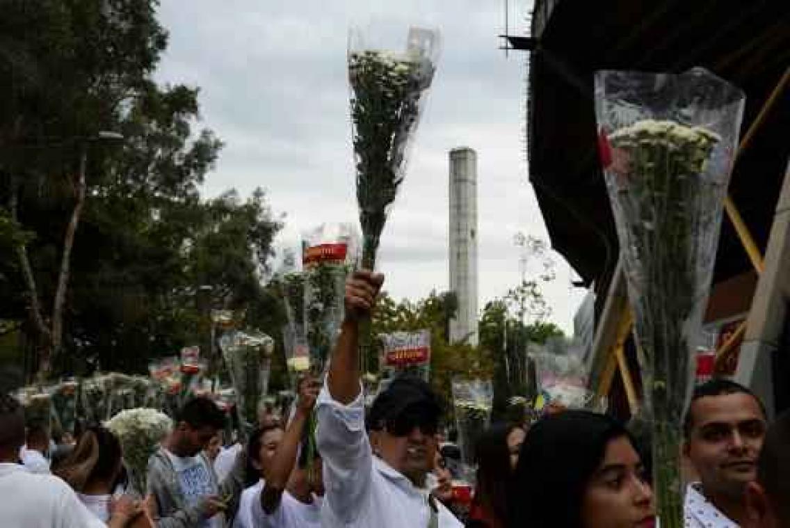 Vliegtuigcrash met spelers Chapecoense veroorzaakt door brandstoftekort