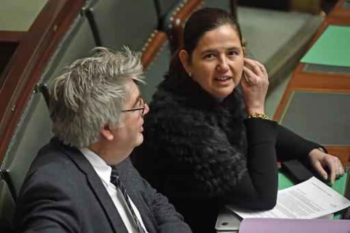 Partij Vuye en Wouters: een 'nieuwe Volksunie' of een doodgeboren kind?