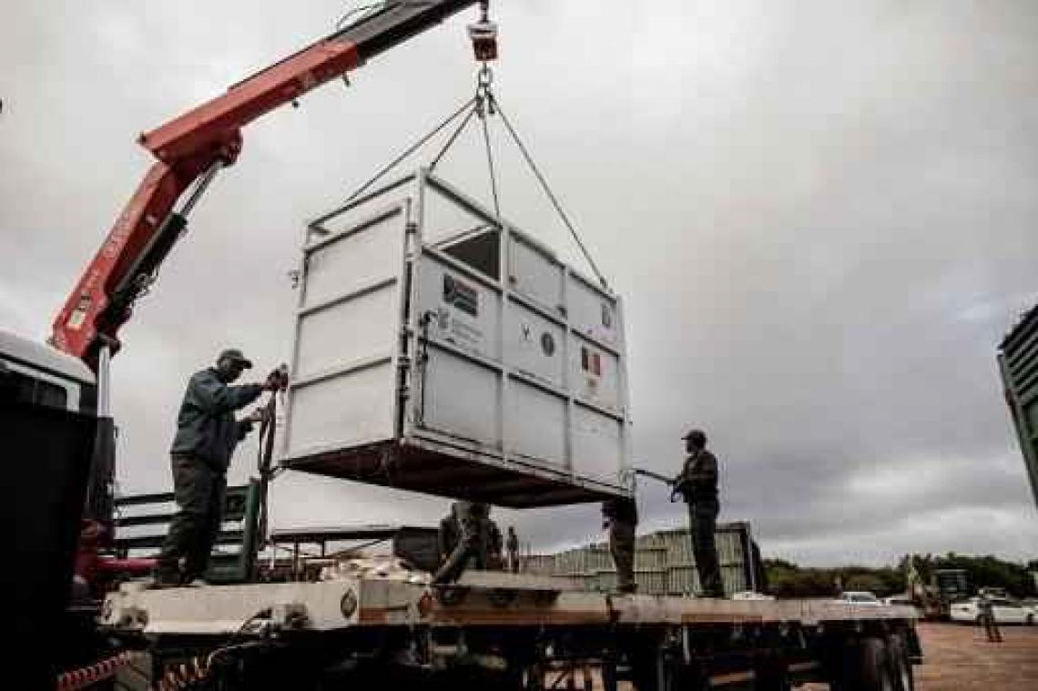 Zuid-Afrika hervestigt zes met uitsterven bedreigde zwarte neushoorns in Tsjaad