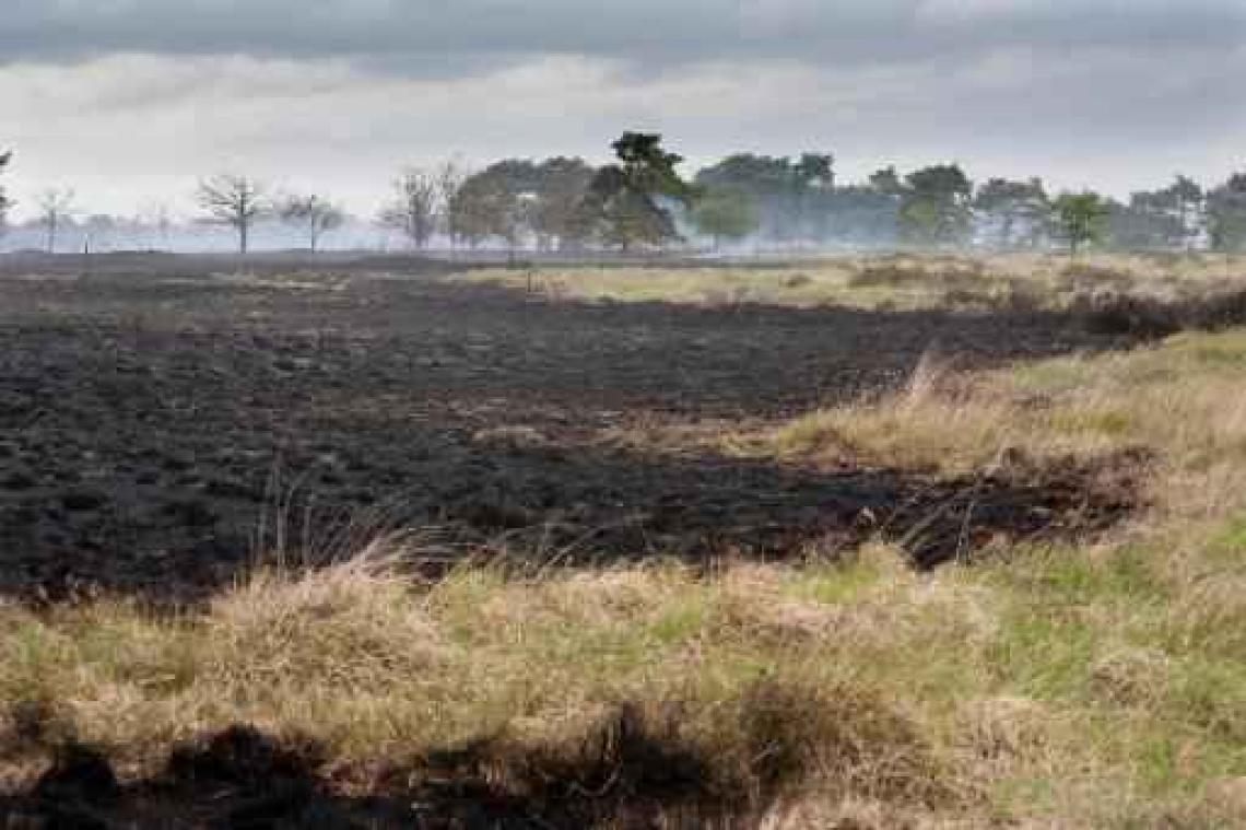Brandfase oranje in Antwerpse natuurgebieden