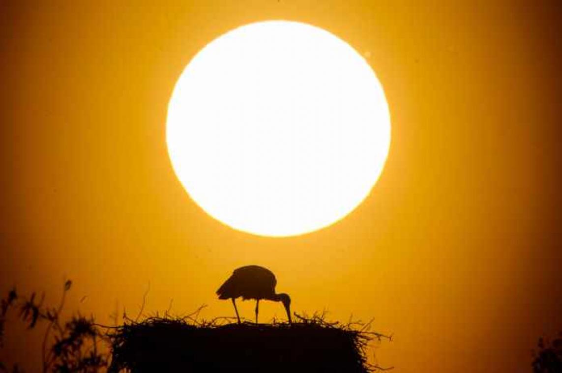 Zon zal op dramatische manier aan haar eind komen