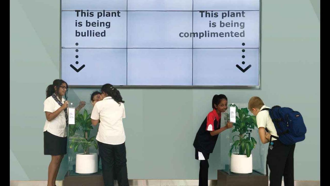 VIDEO. IKEA lanceert pestproject met planten en de resultaten zijn ongelooflijk