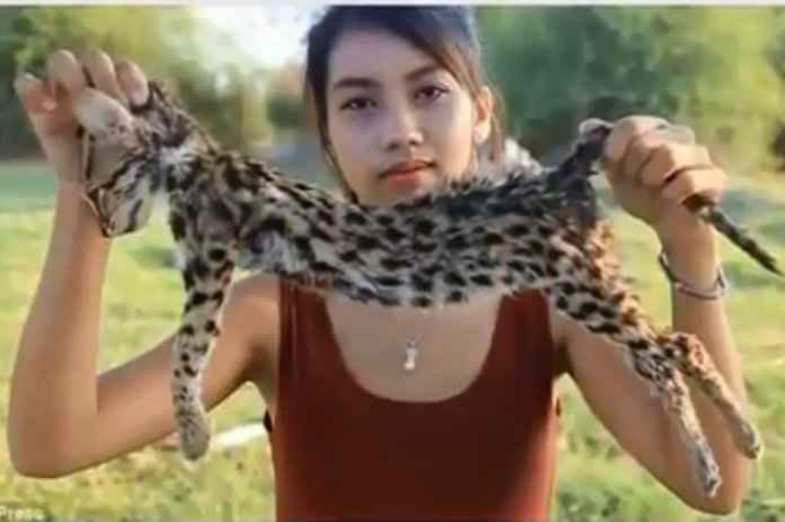 Vrouw vilt en eet bedreigde dieren en zet video op YouTube