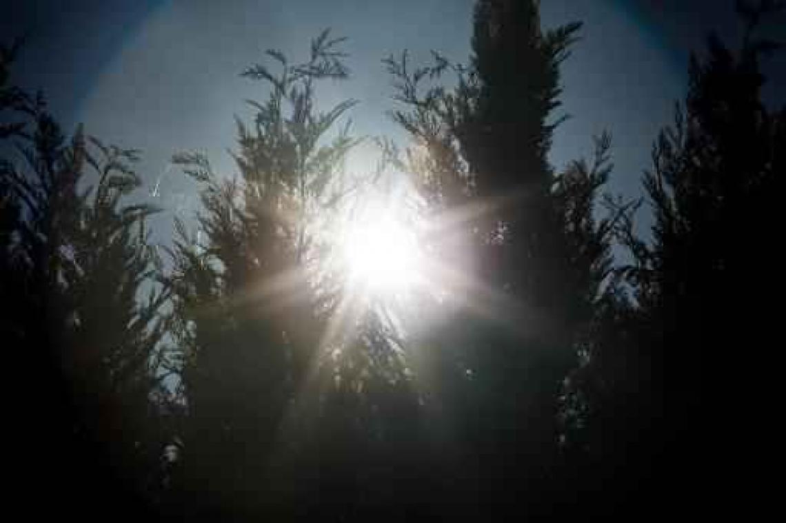 Weerbericht: warm weekend in het vooruitzicht