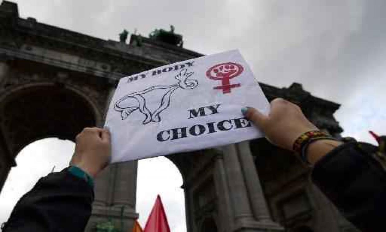 Experts in de Kamer voorstander van depenalisering abortus
