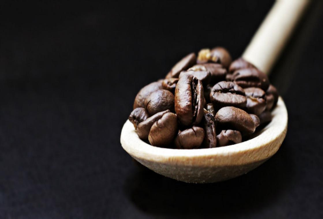 Koffie-afval blijkt goud waard