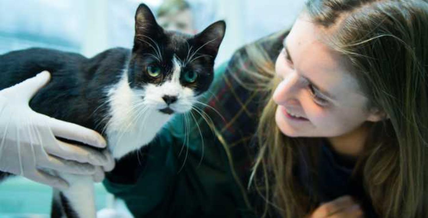 Gezin na zeven jaar herenigd met kat