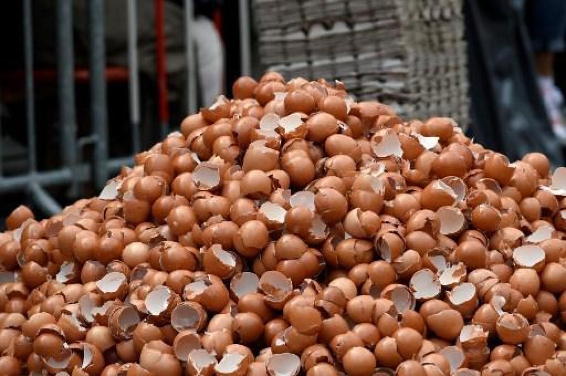 Speurders vallen Voedselagentschap binnen voor nieuw onderzoek fipronilcrisis