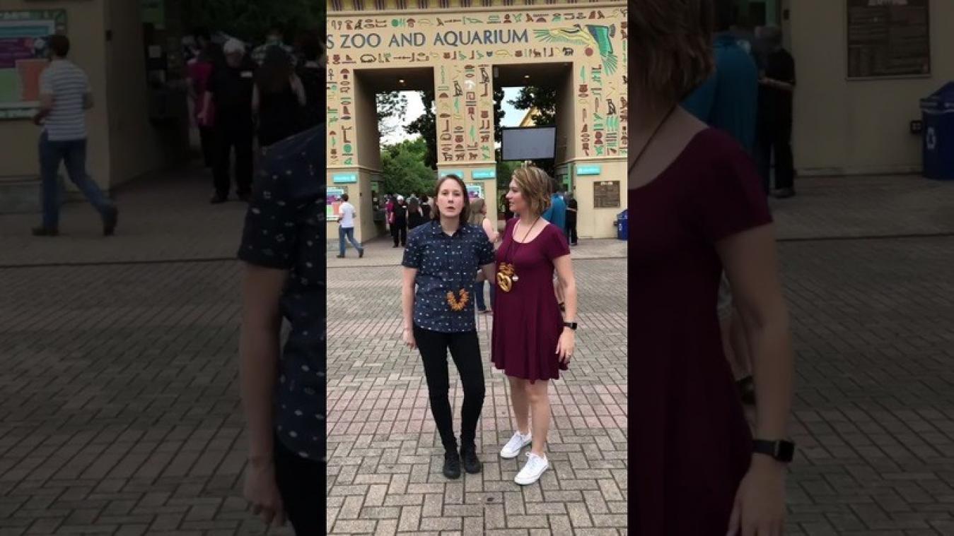VIDEO. Vrouwen vragen elkaar op hetzelfde moment ten huwelijk