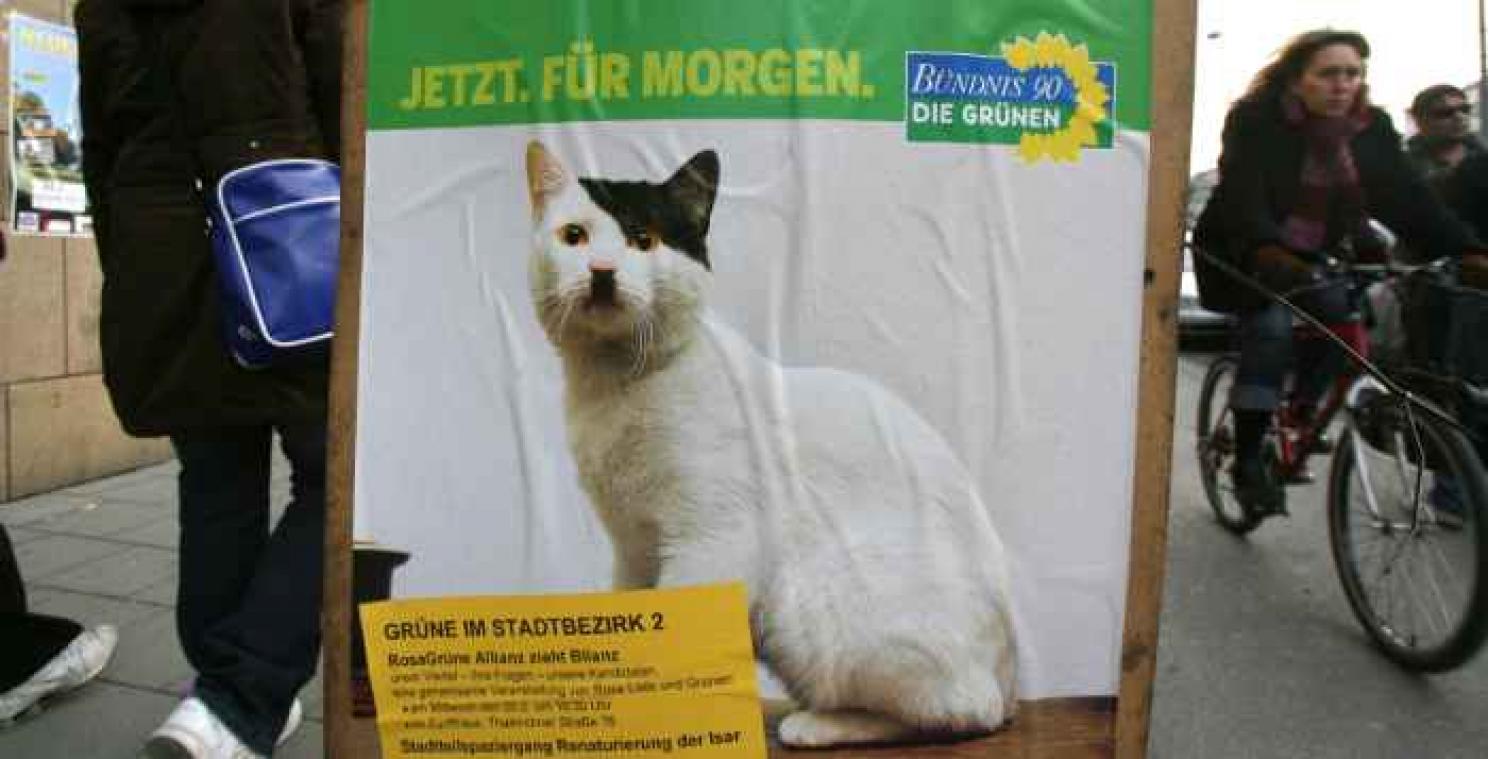 Wetenschappers ontdekken waarom sommige katten een 'Hitlersnorretje' hebben