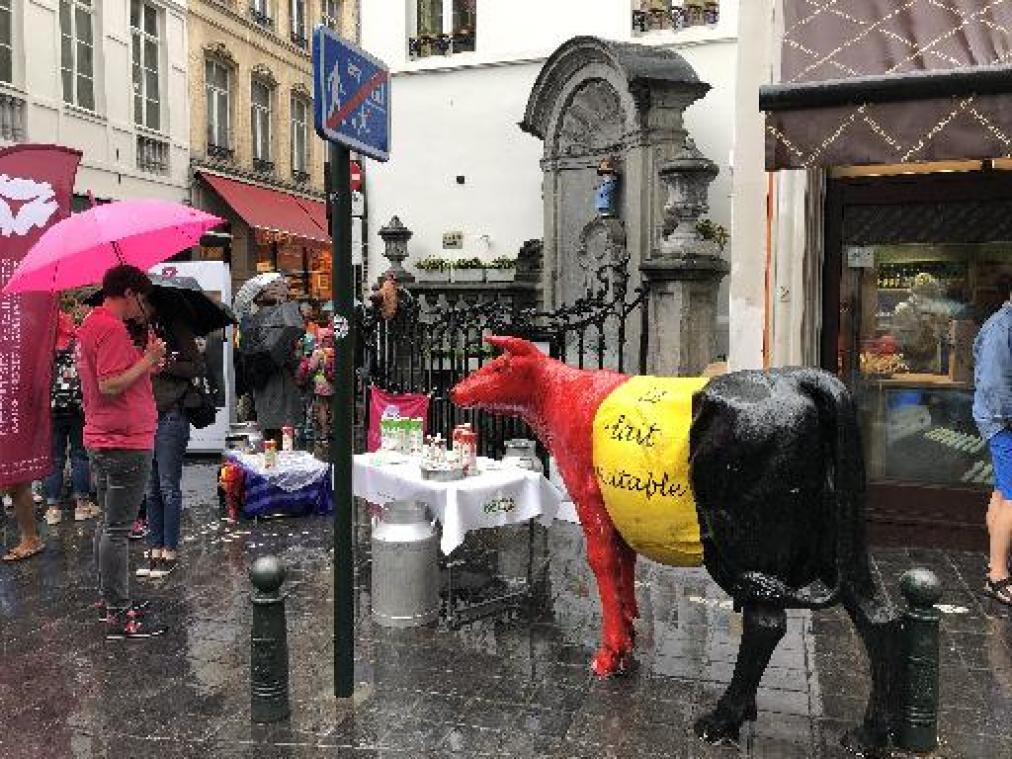 Afrikaans Manneken Pis vraagt aandacht voor belang van melk in Afrika