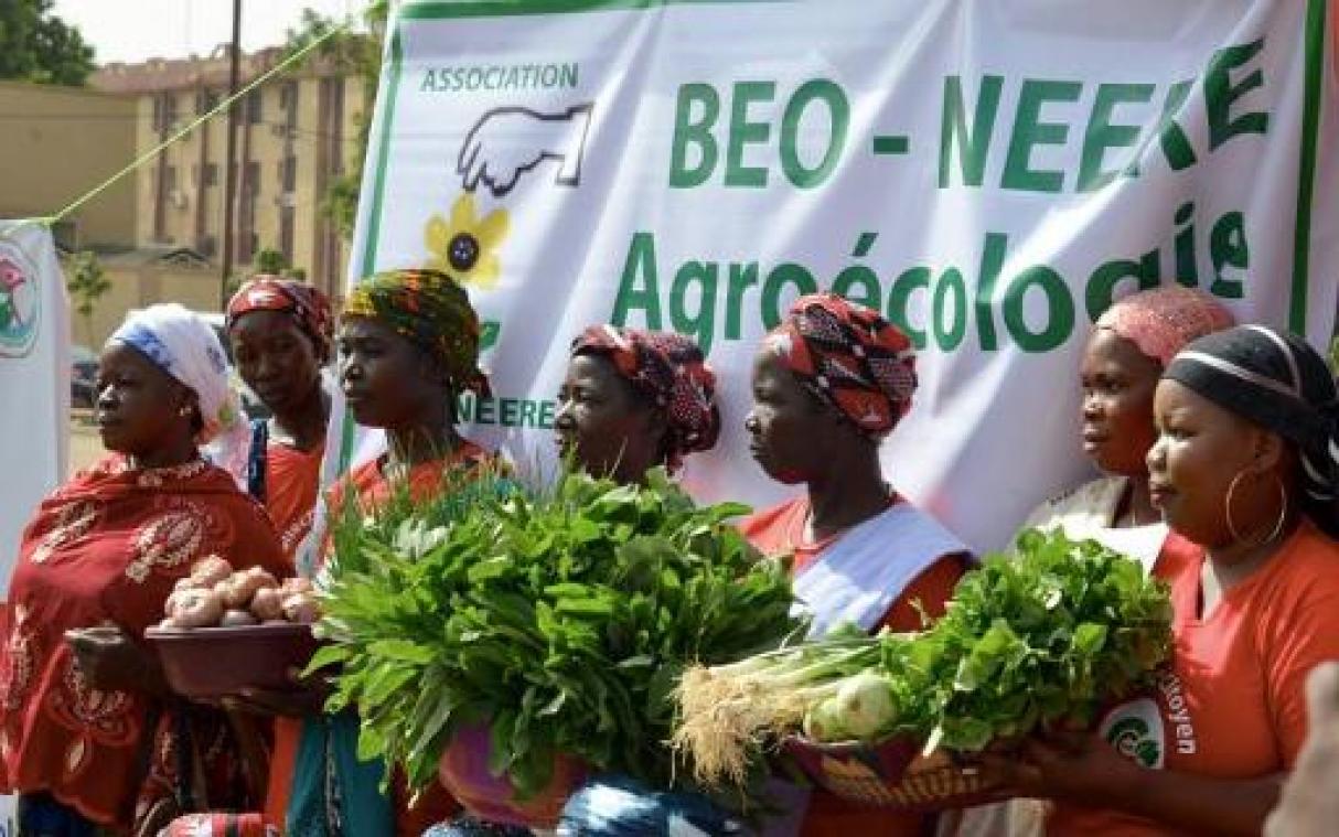 Betoging tegen ggo's in Burkina Faso