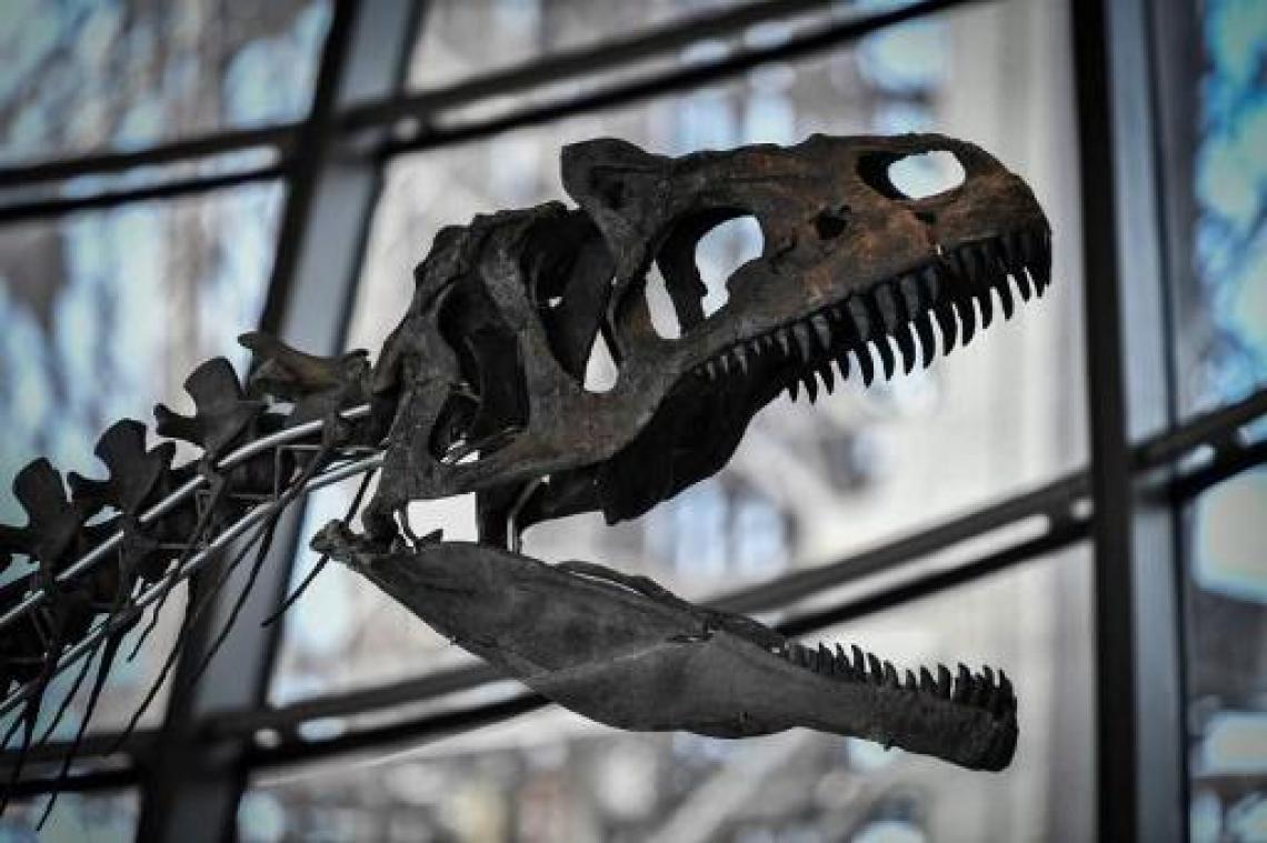 Skelet van dinosaurus tijdens veiling op Eiffeltoren voor 2 miljoen verkocht