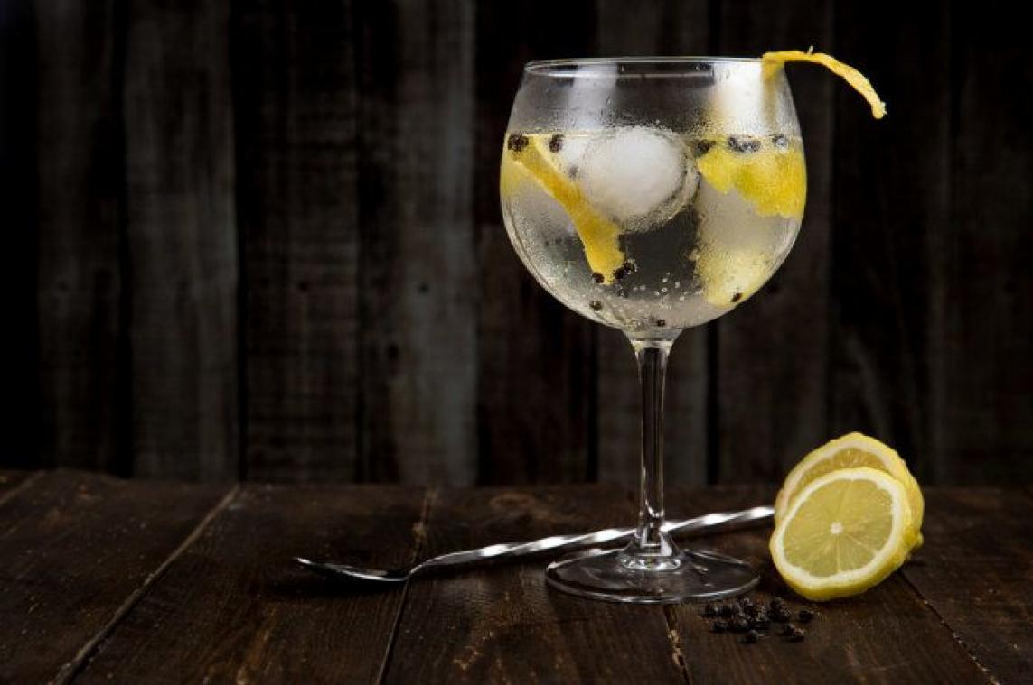 Zo maak je de perfecte gin-tonic op World Gin Day