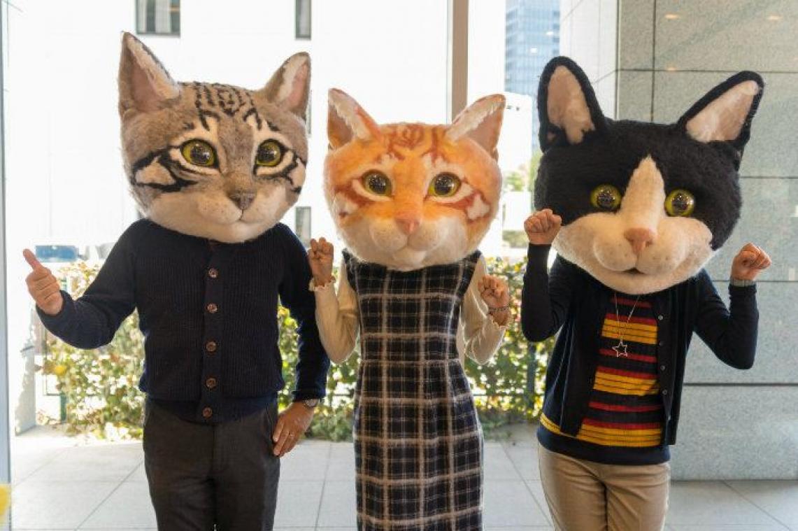 Deze kattenhoofden maken je een echte stoeipoes