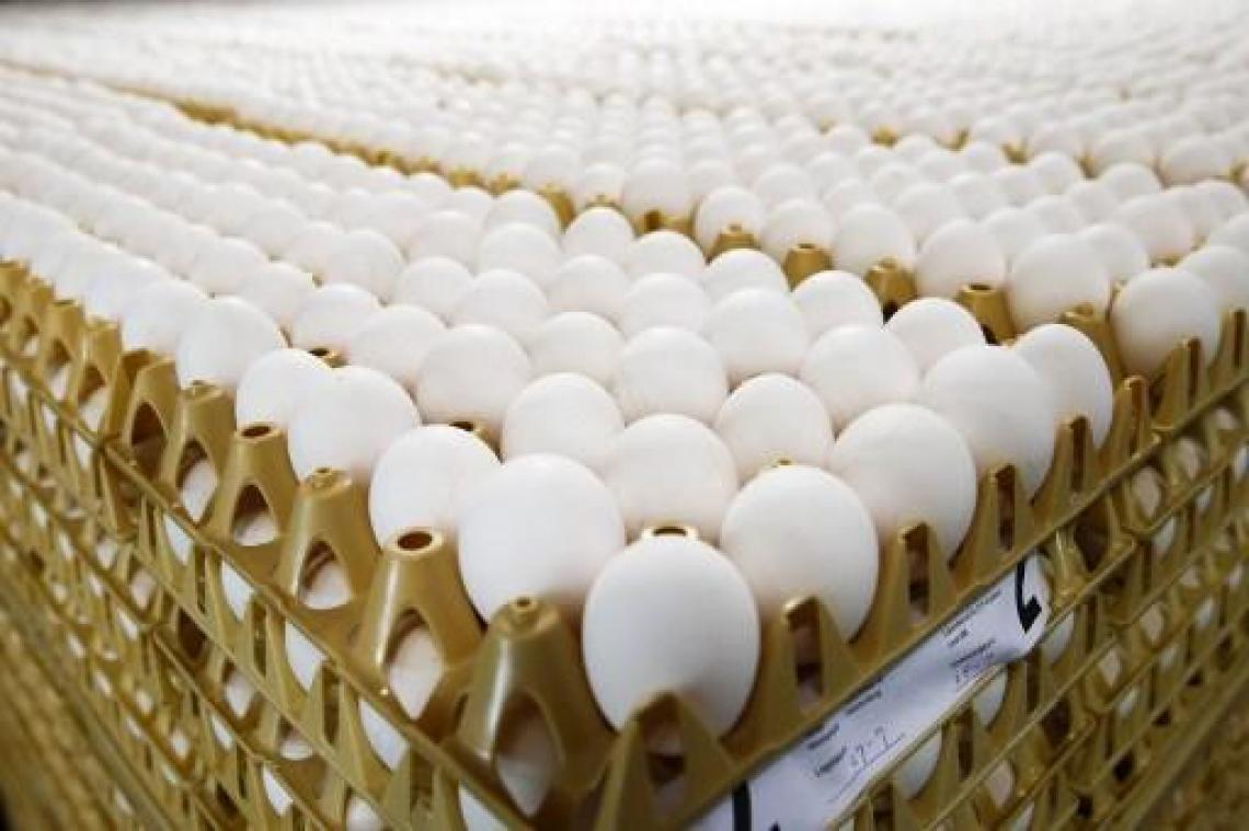 Opnieuw fipronil in Nederlandse eieren