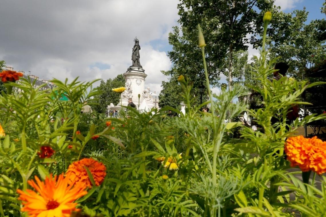 SDG: Alarm voor het leven op het vasteland