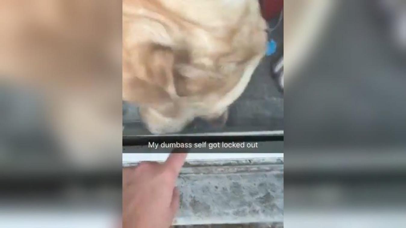 VIDEO. Vrouw is buitengesloten, maar dan doet haar trouwe viervoeter dit