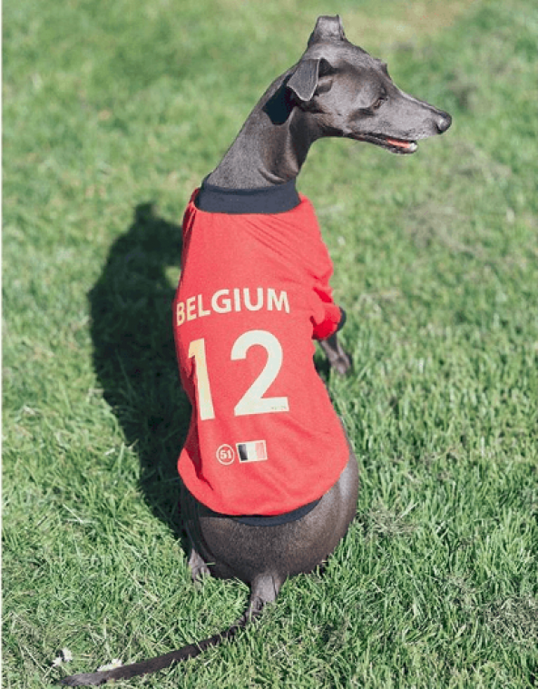 Lassie supportert mee in dit voetbaltruitje