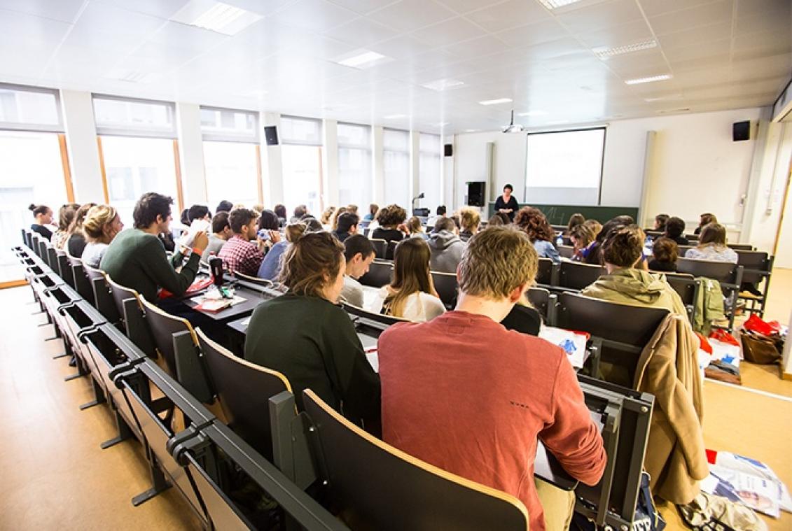 Diploma op zak, en nu??