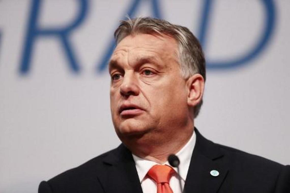 Visegrad-landen sturen zondag kat naar Europese migratietop