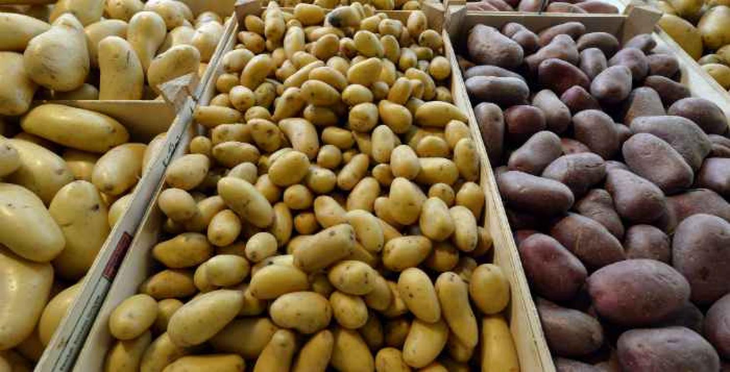 Foto van aardappel is goed voor één miljoen euro
