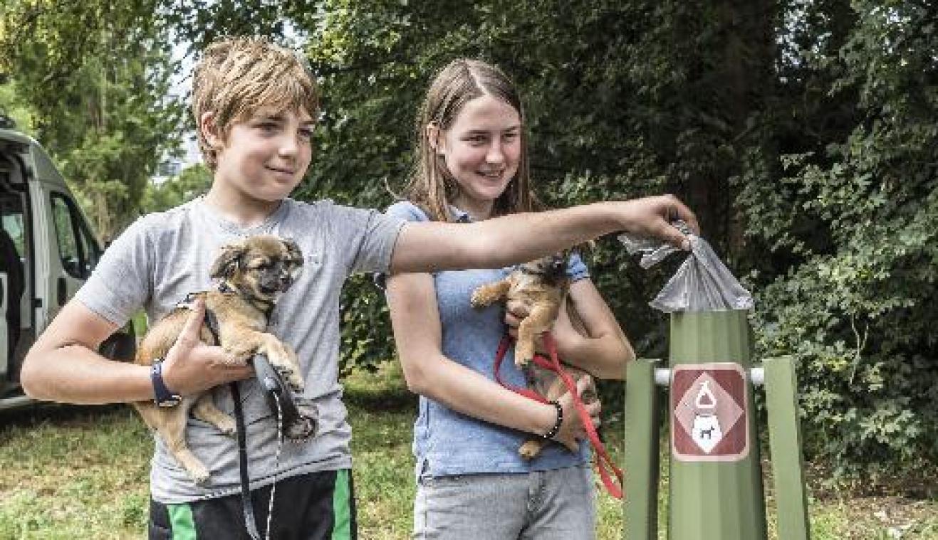 Gent lanceert proefproject met 'hondenpoeppalen'