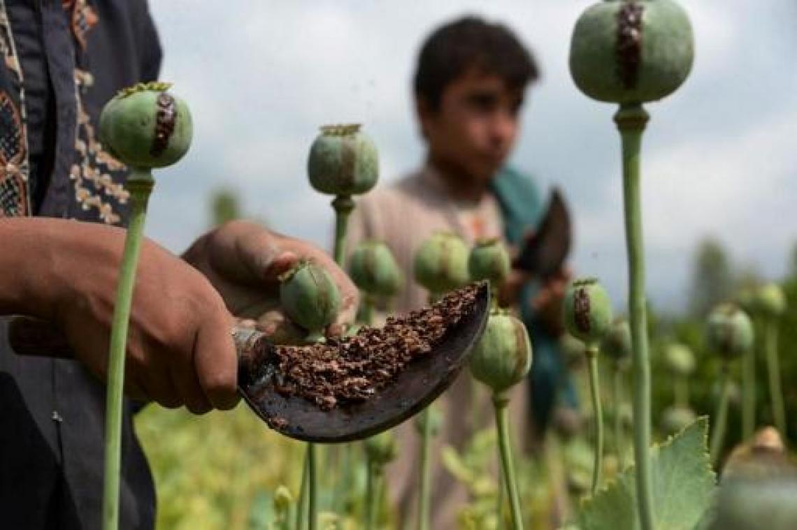 Drugsgebruik en -productie nemen wereldwijd toe, zegt VN-rapport