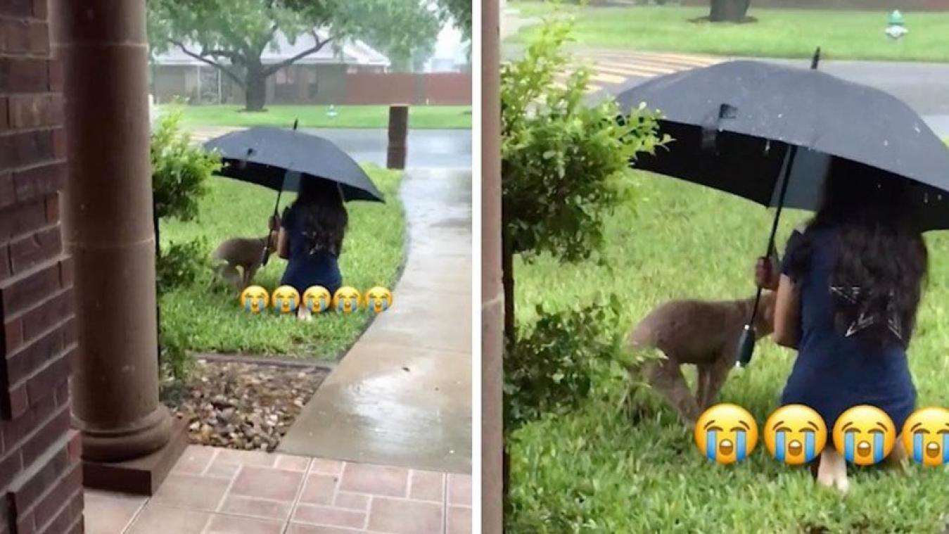 VIDEO. Dierenliefde is in de regen wachten terwijl je hond zijn behoefte doet