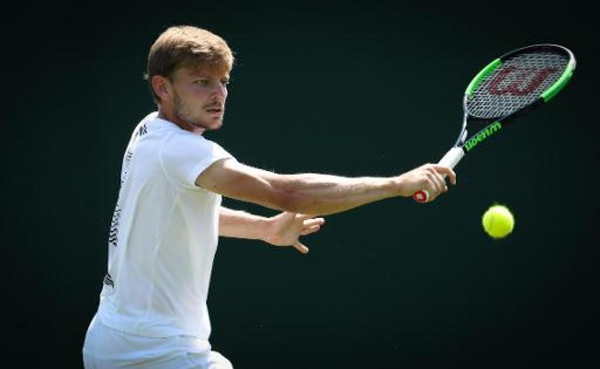 Goffin treft Australiër Ebden in 1e ronde, Bemelmans neemt het op tegen Johnson