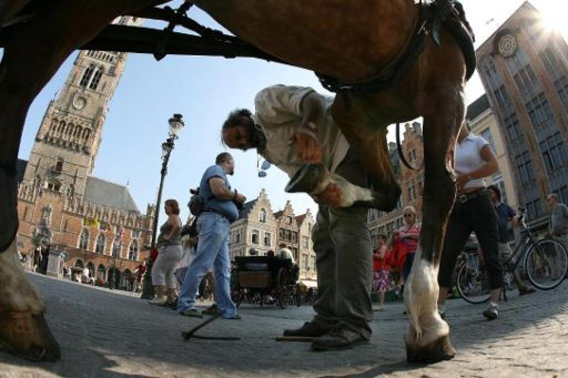 Vlaamse kunststeden populairder bij jongere toeristen