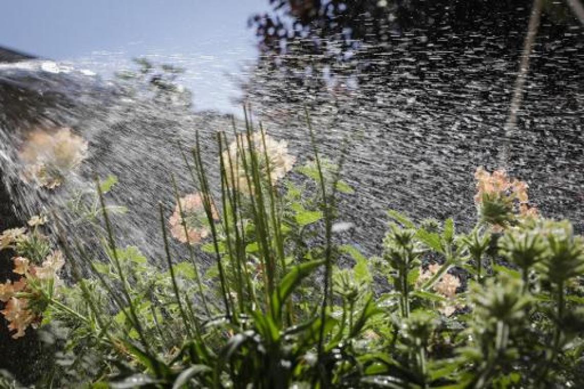 Boerenbond: "Nood aan regen wordt voelbaar voor landbouwgewassen in België"