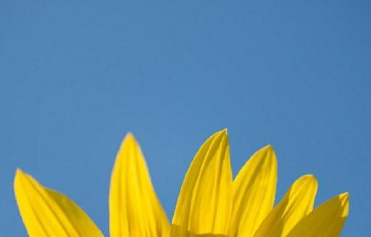 Weerbericht: zonnig met kans op stevige onweders