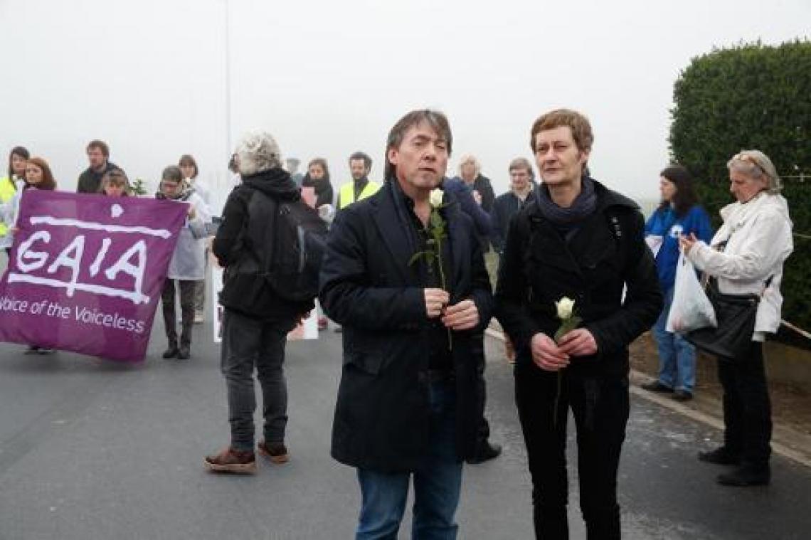 GAIA en Animal Rights kunnen actie in slachthuis niet smaken