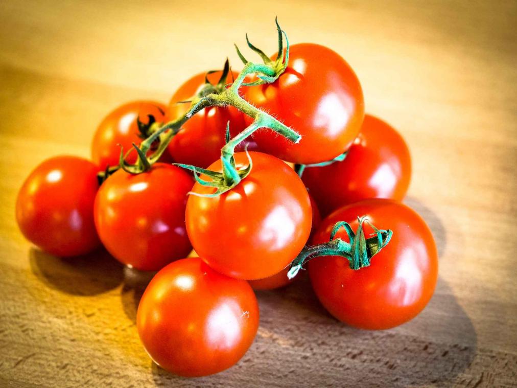 Gentse tomaten uit urinebodem