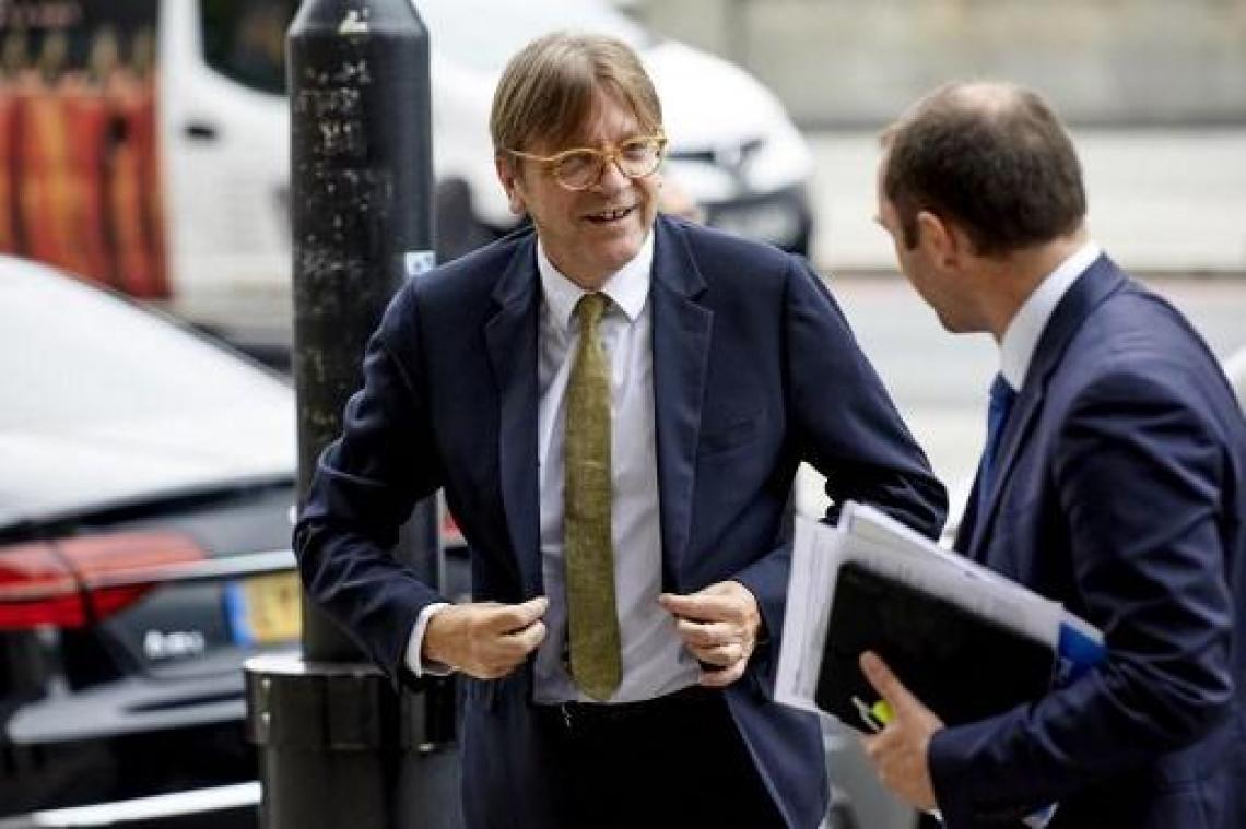 Guy Verhofstadt bij Europarlementariërs die meeste "extra's" verdienen
