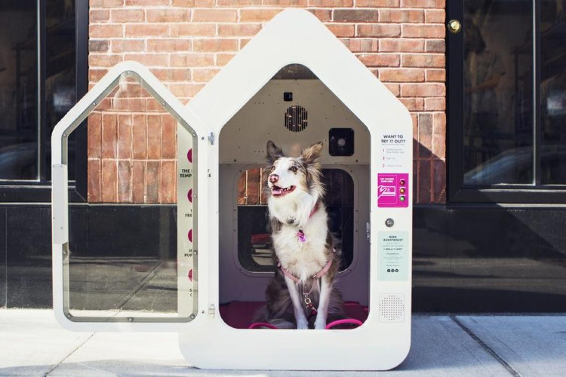 Dit hondenhuisje redt je hond van warm weer