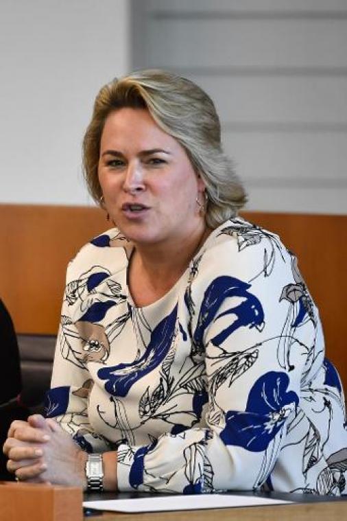 Voor einde jaar nog aankondigingsborden op 10 grote toegangswegen in Vlaanderen