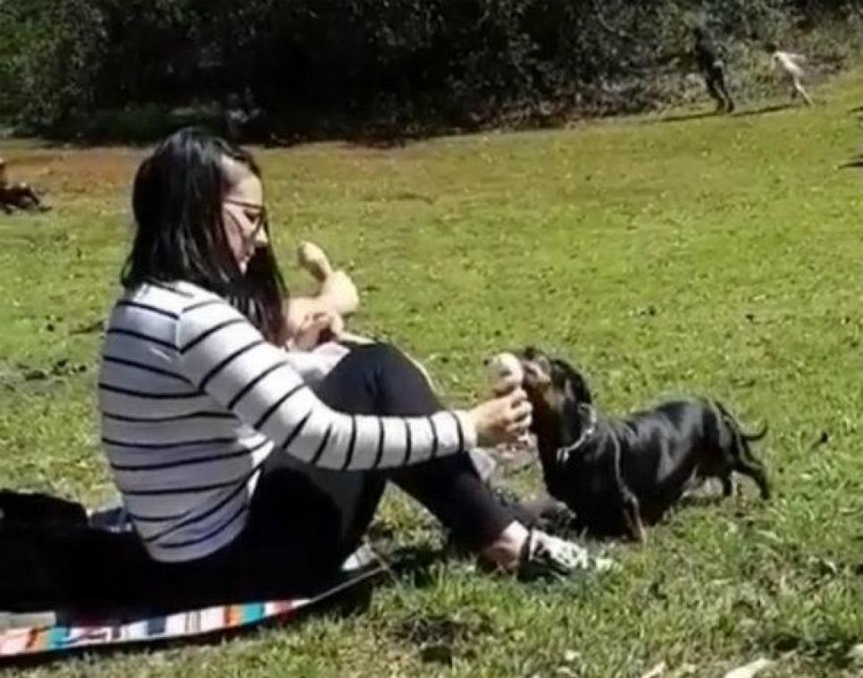 Vrouw laat op eerste date haar hond van haar ijsje likken. Het internet is verdeeld