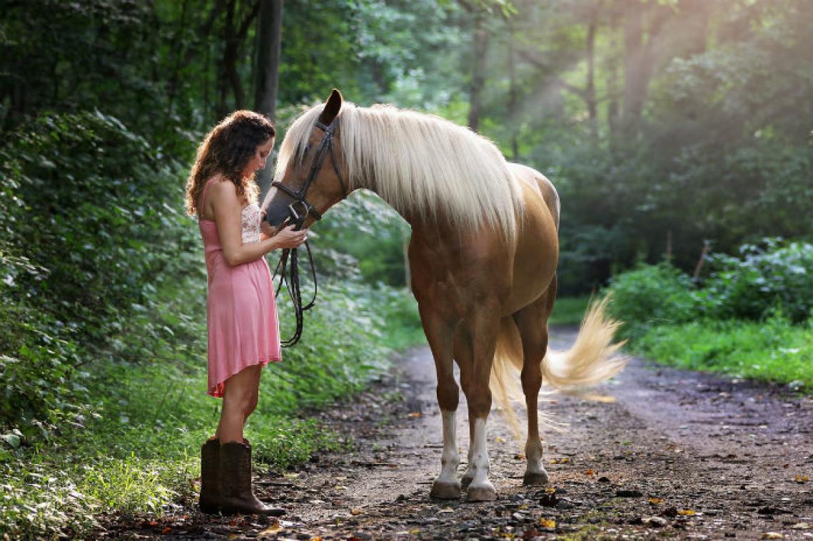 Paardenliefhebbers krijgen eigen datingsite