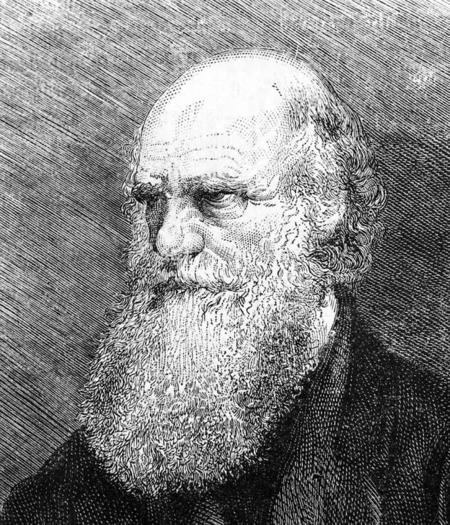 Daarom vieren we vandaag Darwin Day