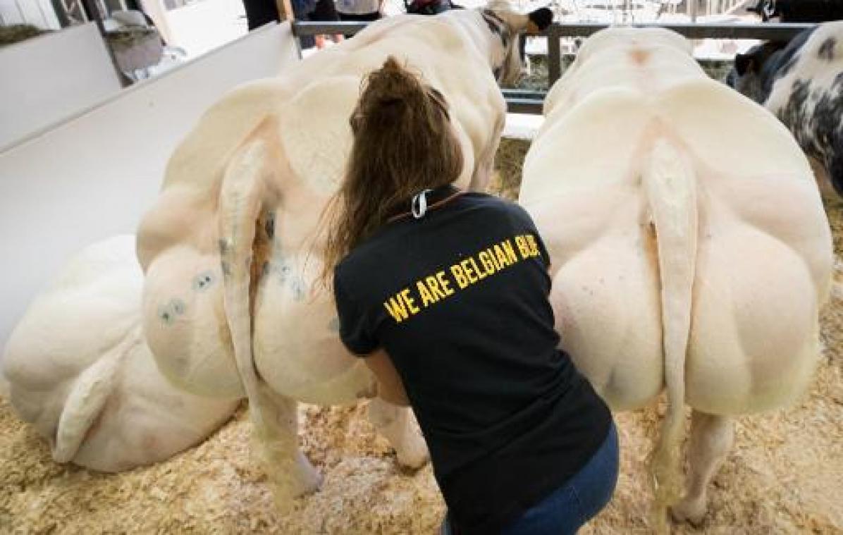 Vlaanderen verliest 405 miljoen euro Europese landbouwsteun