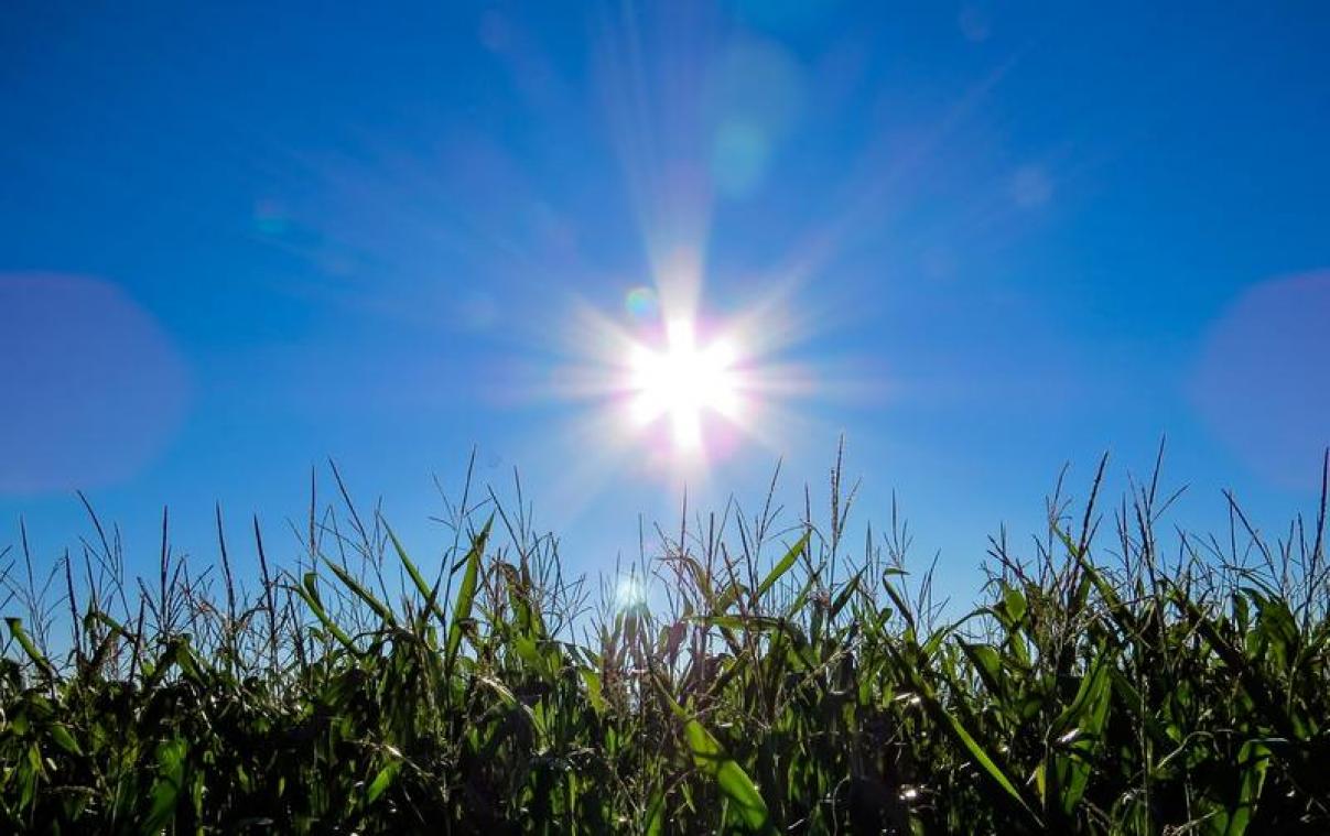 Weerbericht: hitte houdt dit weekend aan
