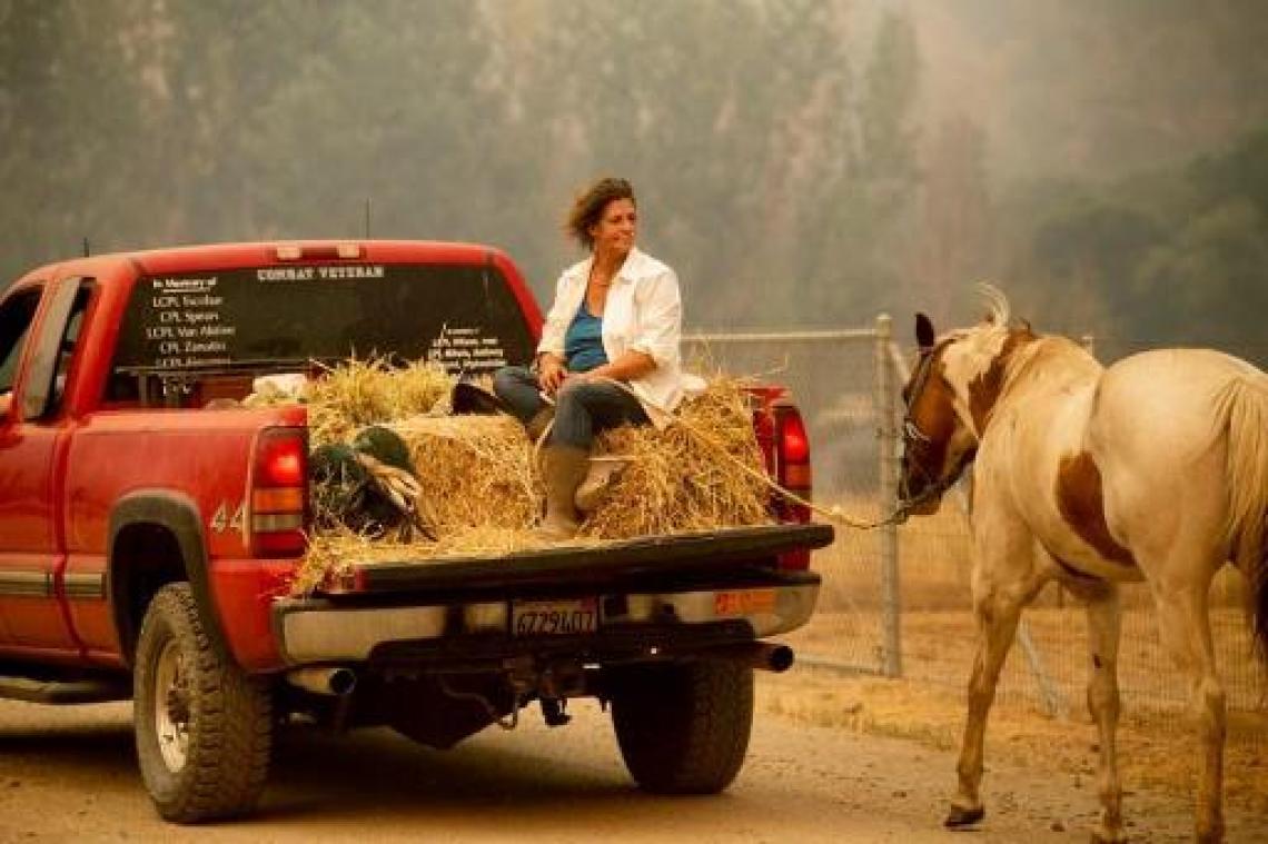 Gouverneur Californië vraagt federale steun in strijd tegen bosbranden