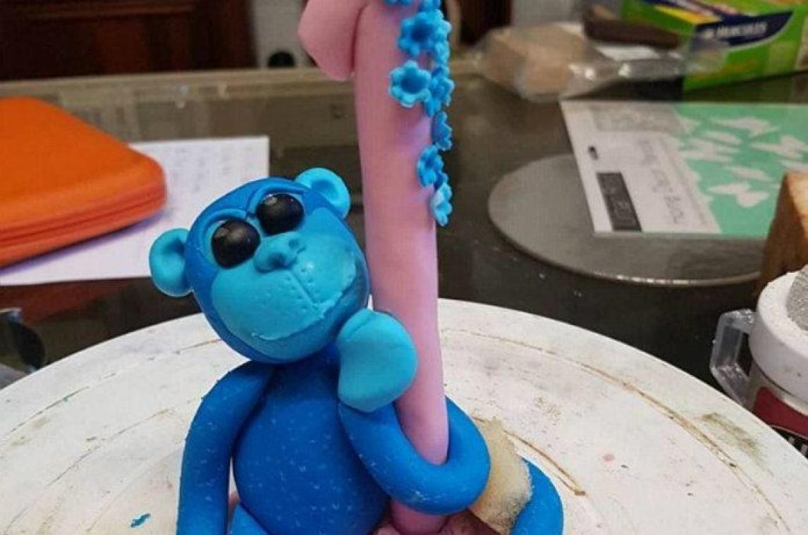 IN BEELD. Vrouw koopt 'foute' taart voor baby