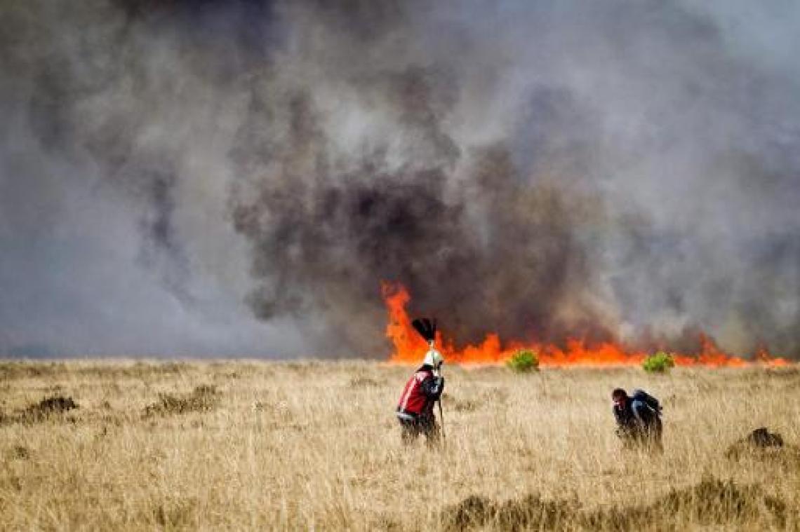 Heidebrand in Nederland verwoest 75 hectare in Drenthe